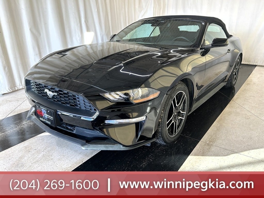 2023 Ford Mustang EcoBoost Convertible SUMMER SPECIAL