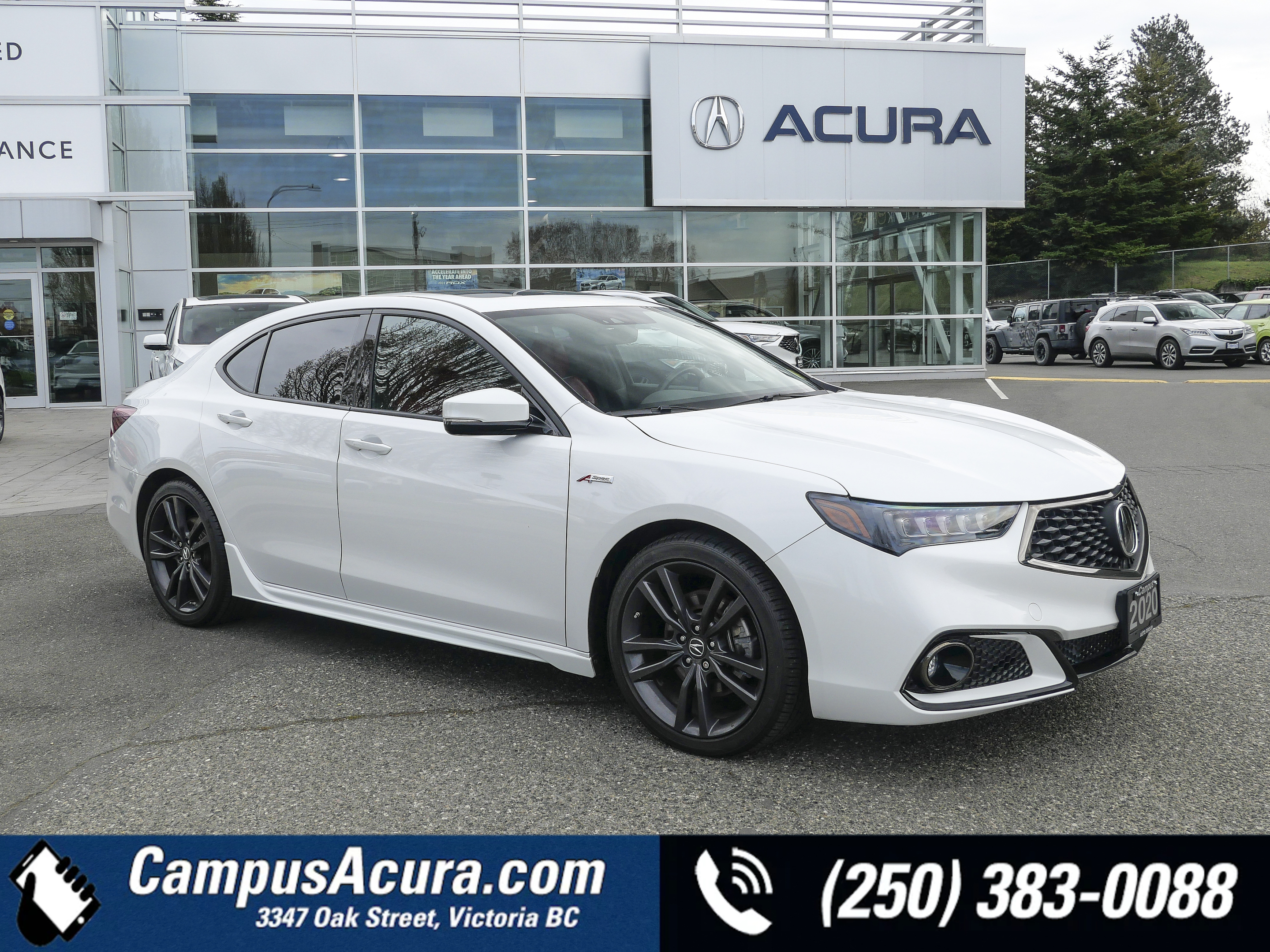 2020 Acura TLX Tech A-Spec | Low KMs | Island Vehicle |