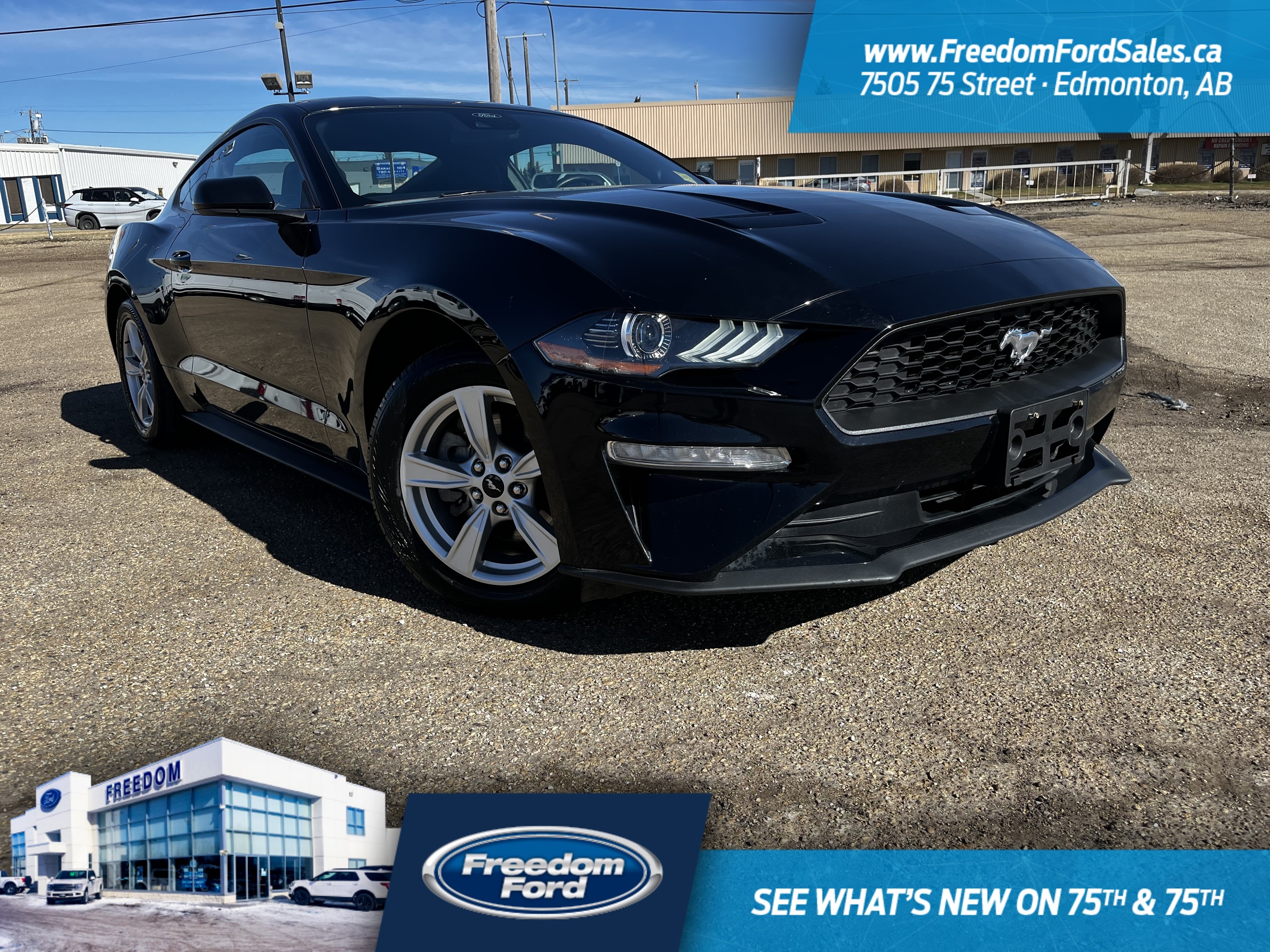 2021 Ford Mustang EcoBoost | Rear Cam | AM/FM Radio | 