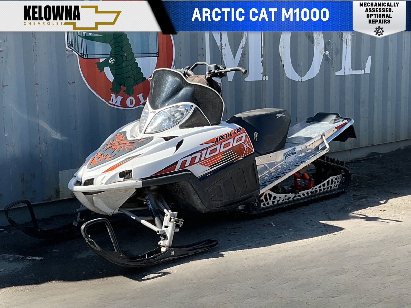 2010 Arctic Cat M1000 