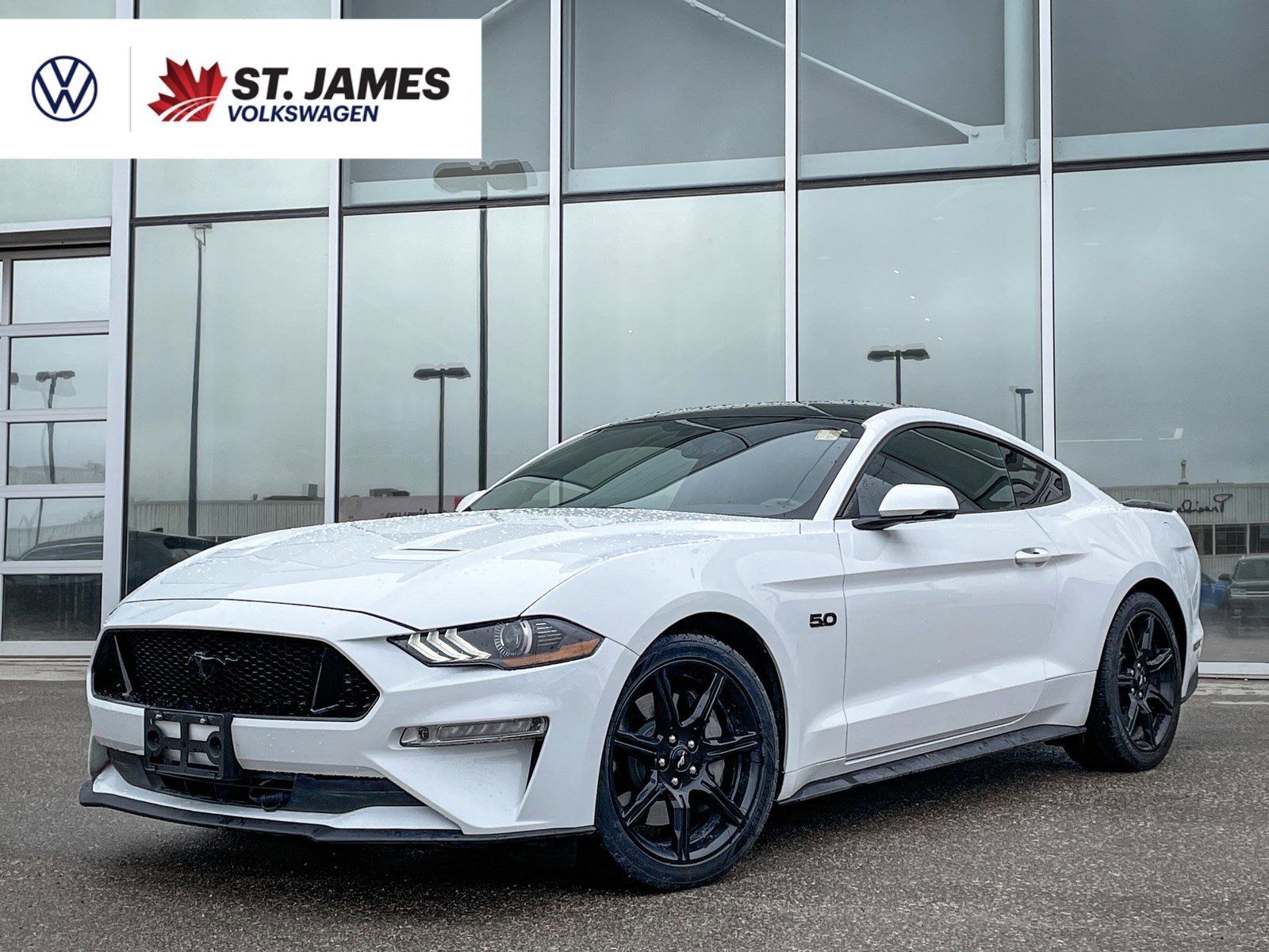 2019 Ford Mustang GT | LOCAL MB VEHICLE |