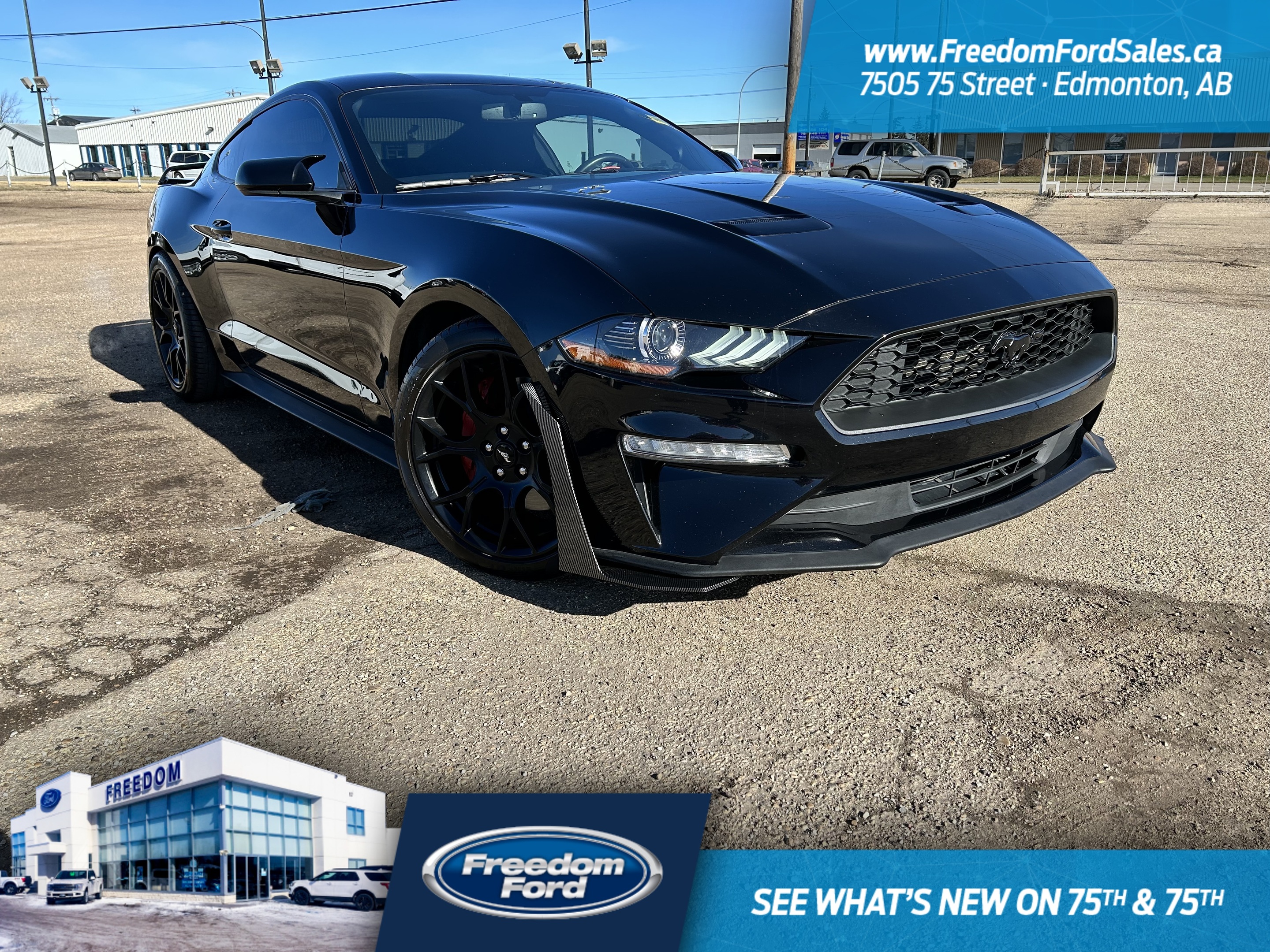 2018 Ford Mustang EcoBoost | Rear Cam | AM/FM Radio | 