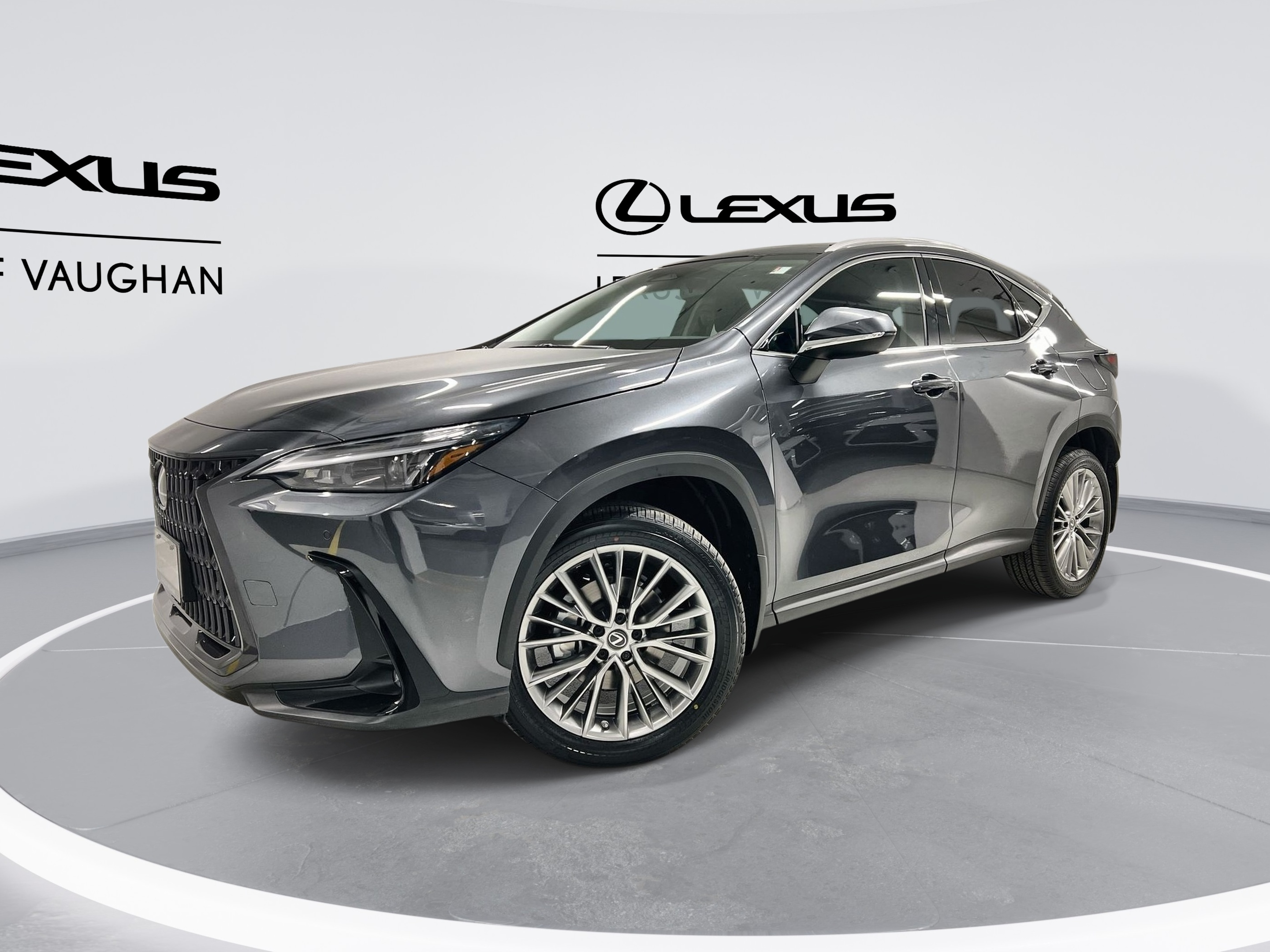 2024 Lexus NX 350 Luxury Package