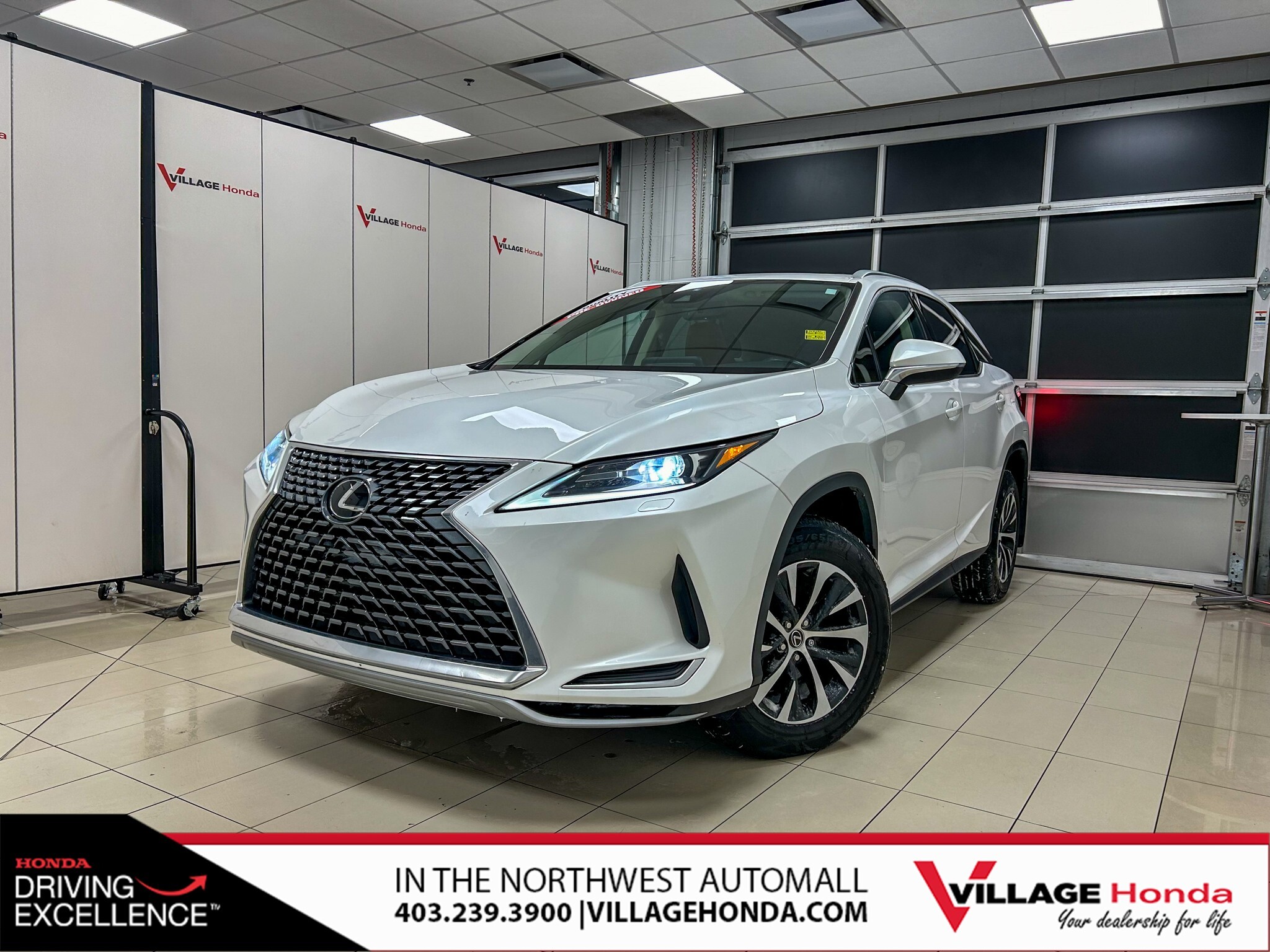 2021 Lexus RX 350 LOCAL VEHICLE! LUXURY SUV! COOLED FRONT SEATS! HEA