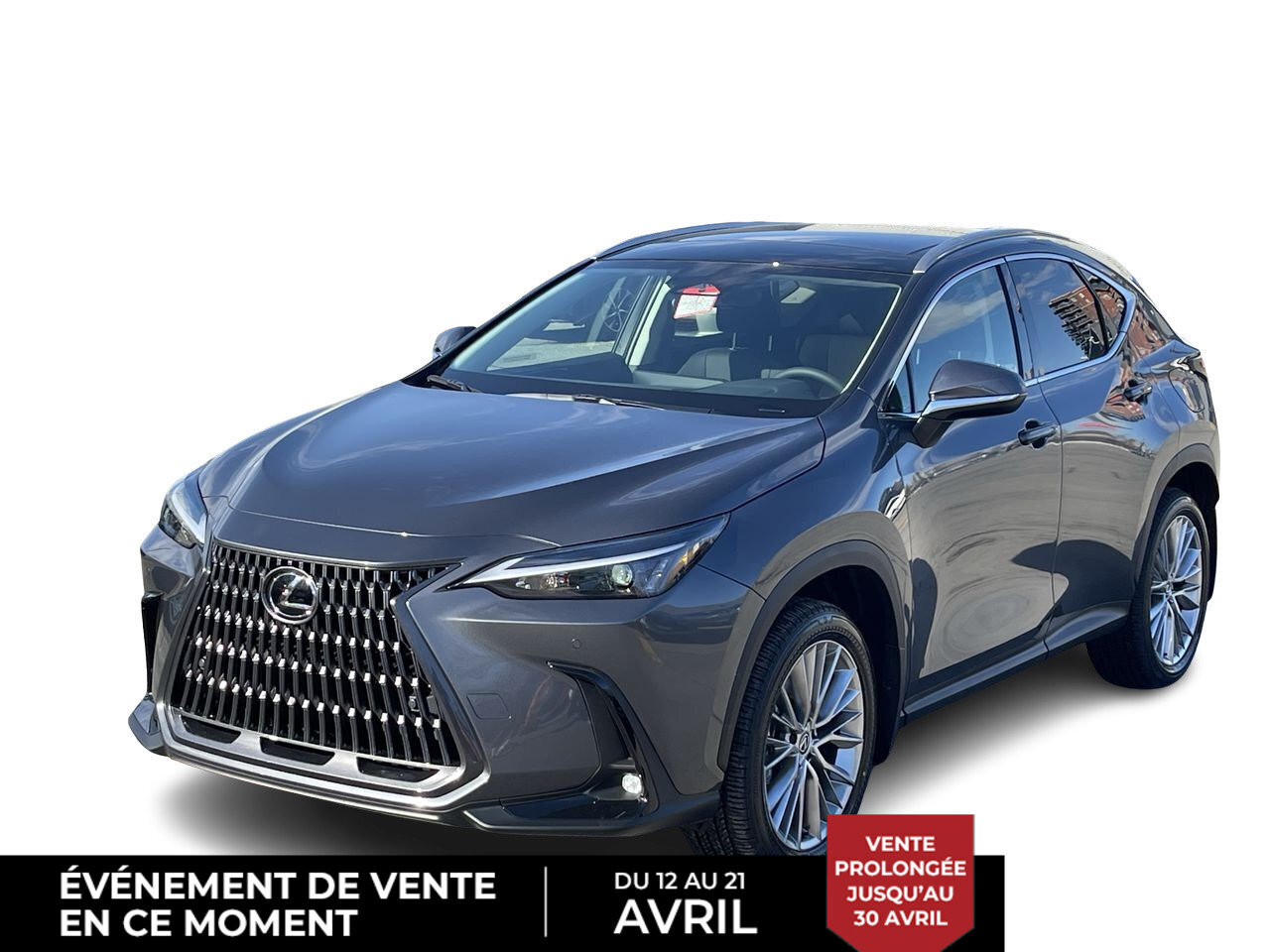 2024 Lexus NX NX 350 AWD