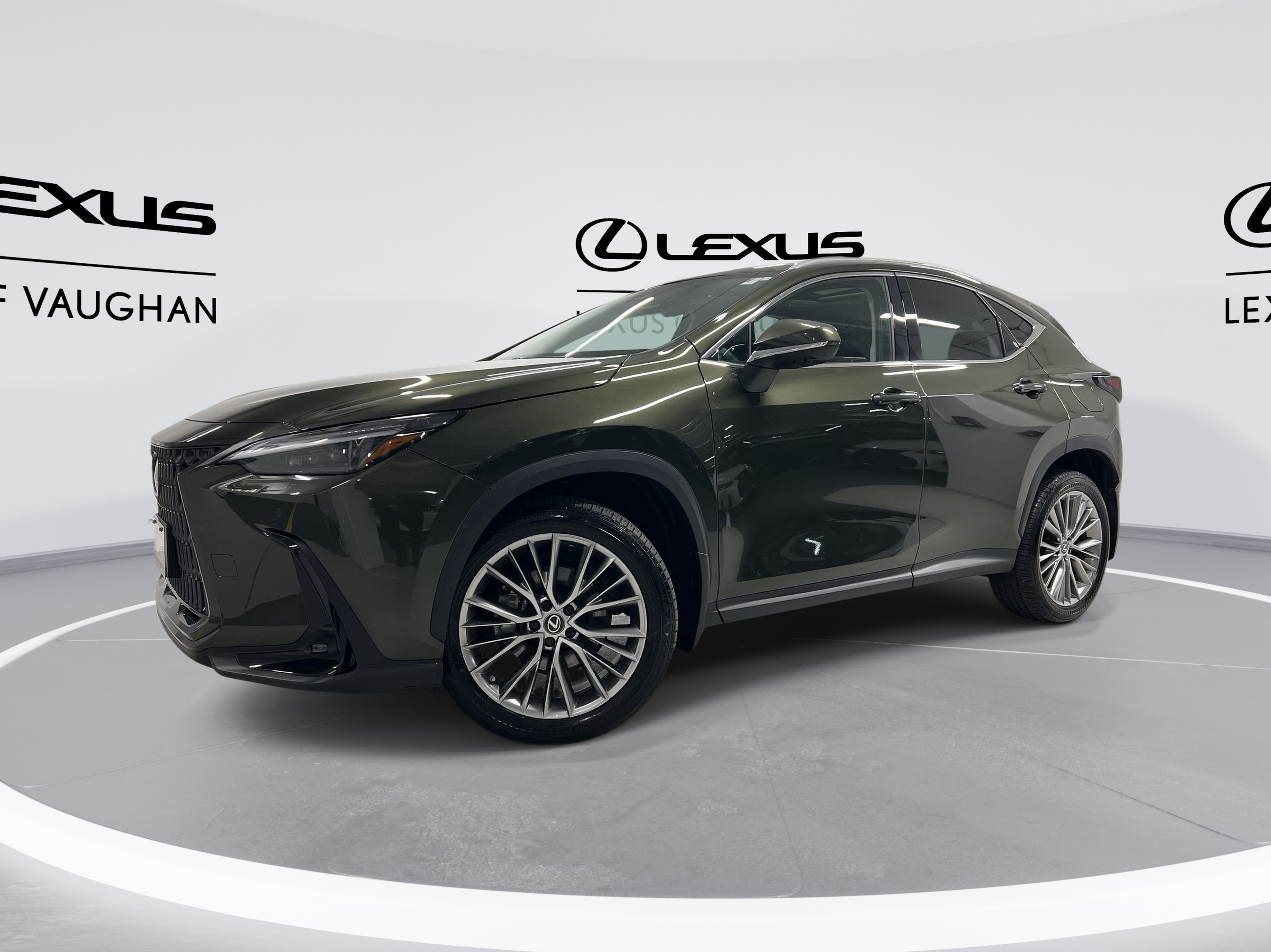 2022 Lexus NX 350 | ULTRA LUXURY PKG. | RARE NORI GREEN COLOR |
