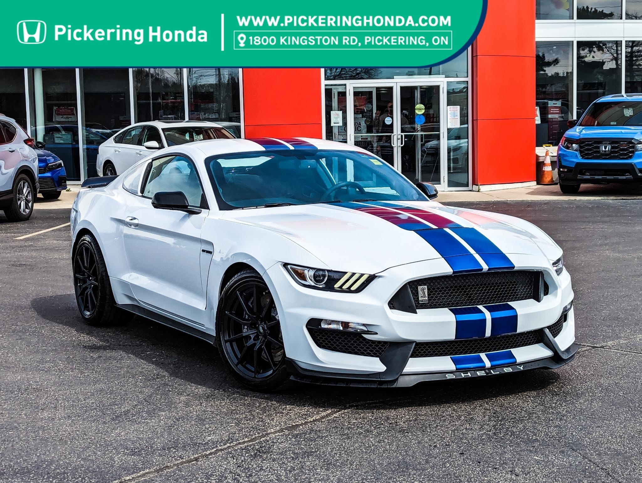 2017 Ford Mustang Shelby GT350|No Accidents