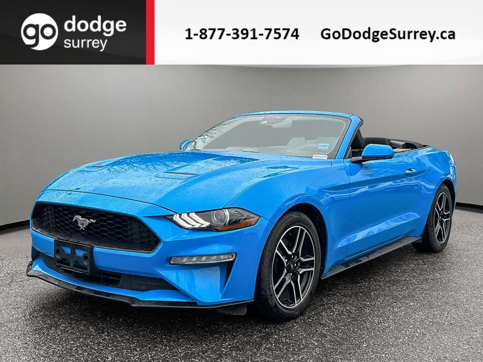 2023 Ford Mustang EcoBoost + CONVERTIBLE/REAR VIEW CAM/APPLE CARPLAY