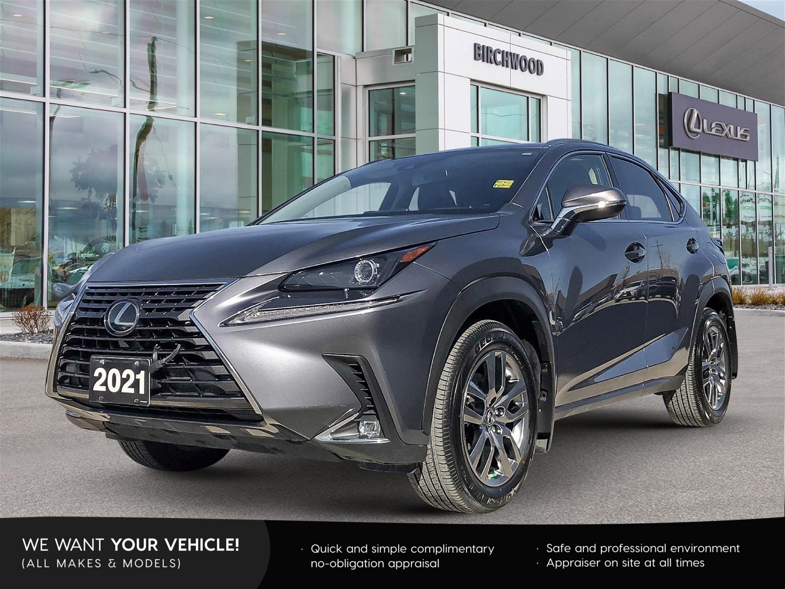 2021 Lexus NX 300 One Owner | Low KMs | Locally Owned