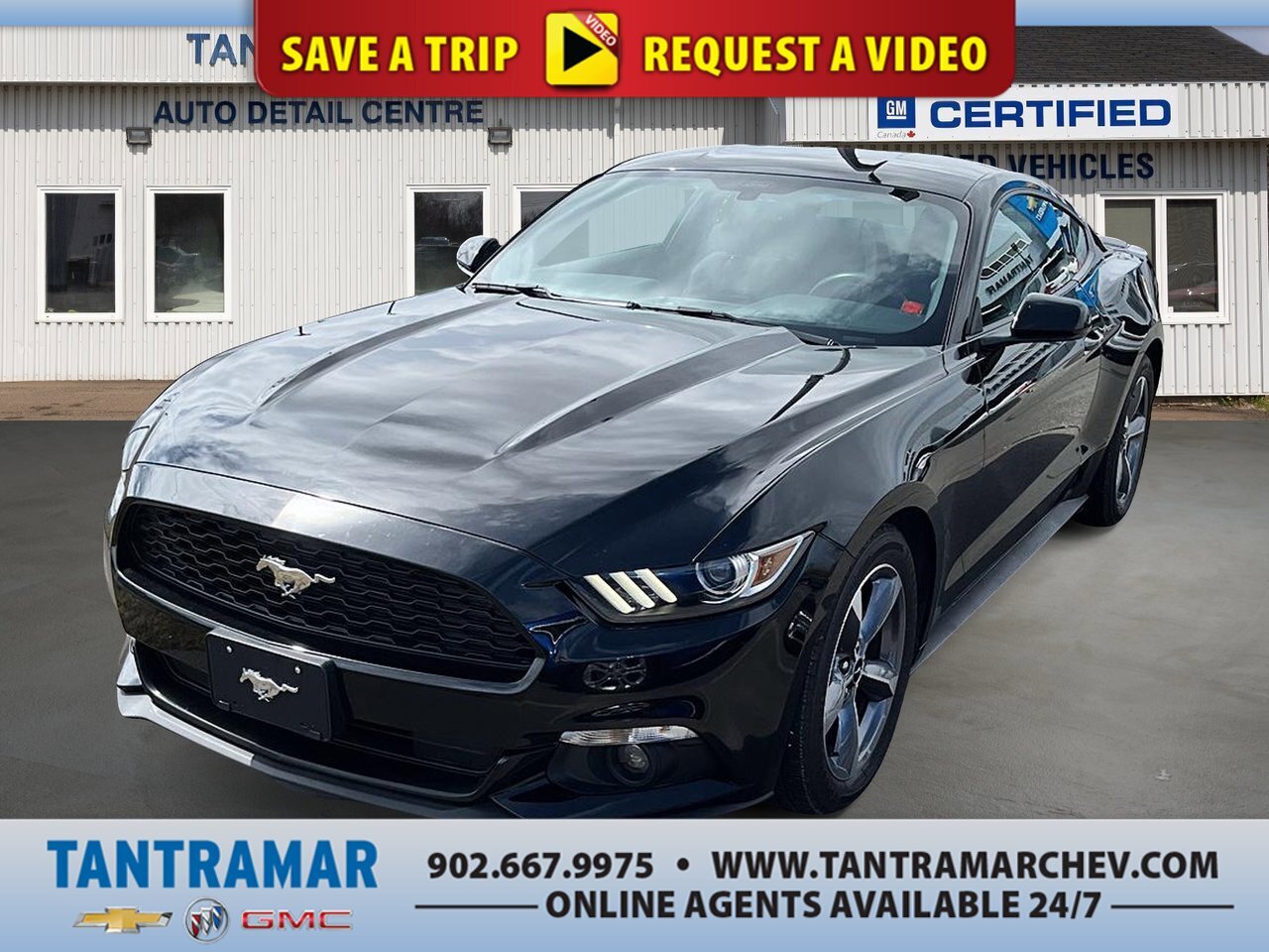2016 Ford Mustang V6 66000kms