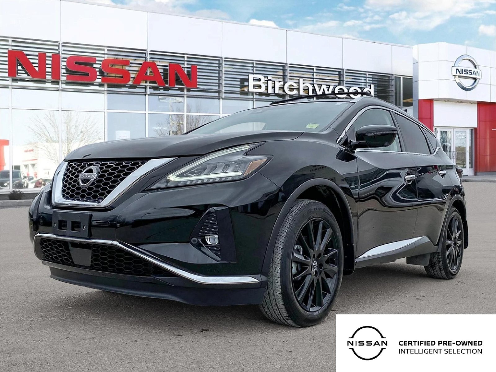 2023 Nissan Murano Platinum Accident Free | Locally Owned | One Owner