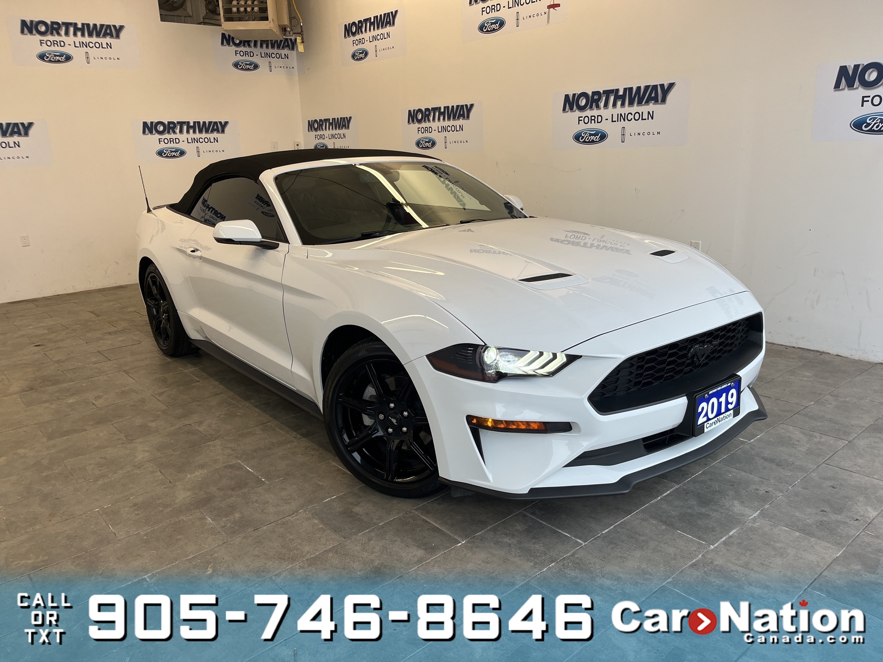 2019 Ford Mustang ECOBOOST PREMIUM|CONVERTIBLE |BLACK ACCENT|LEATHER