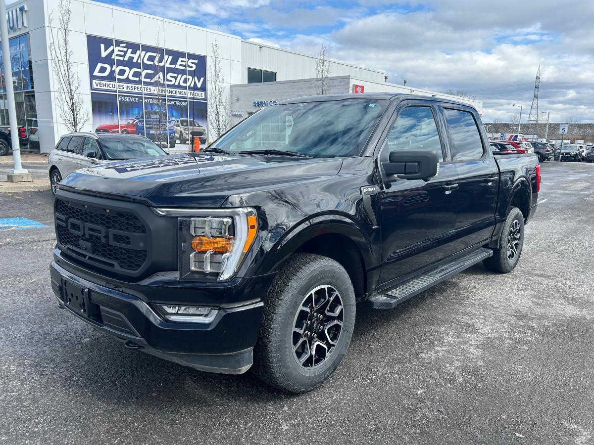 2023 Ford F-150 XLT 302A SPORT V8