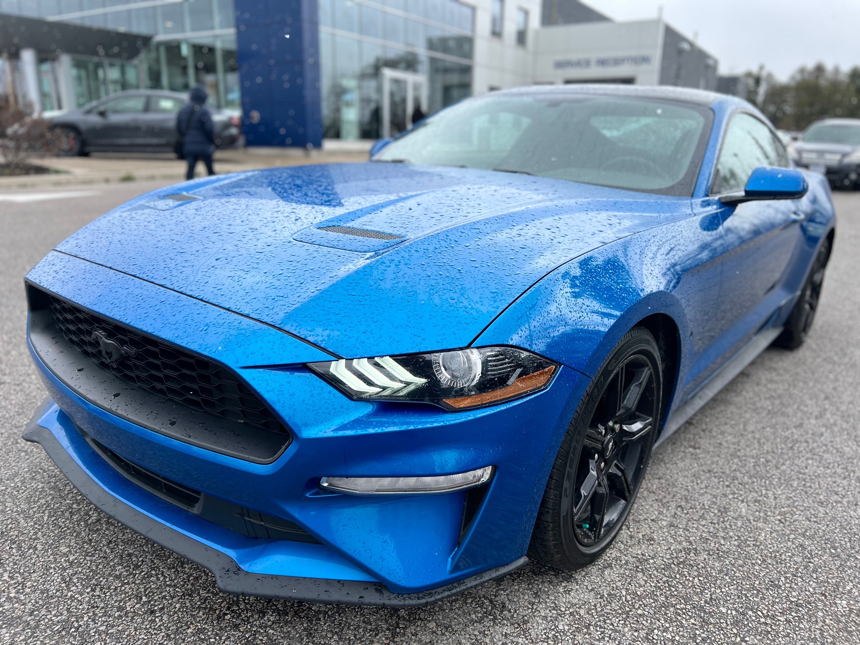 2020 Ford Mustang NO ACCIDENTS! ONE OWNER! ECOBOOST!