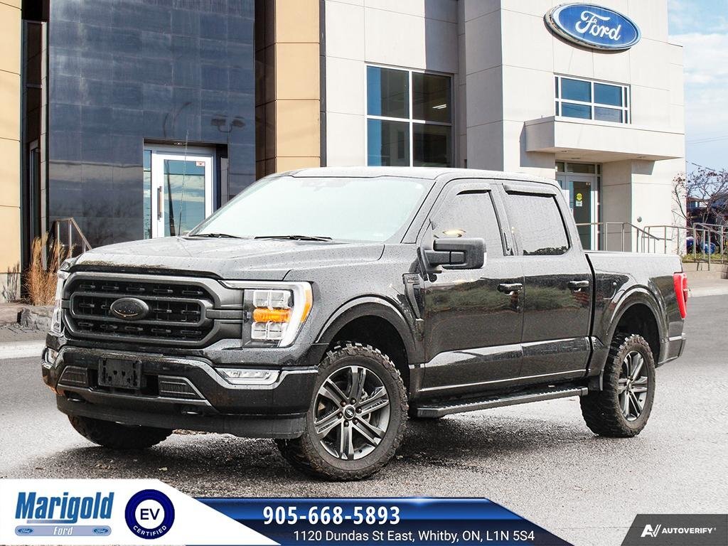2022 Ford F-150 XLT 302A / V8 / 4x4