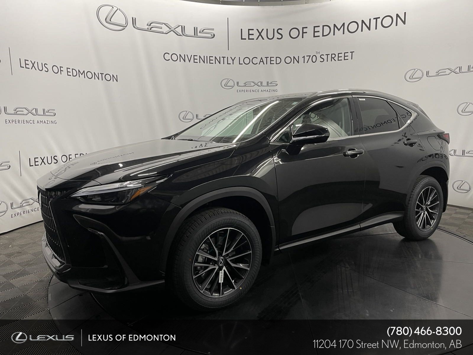 2024 Lexus NX PREMIUM