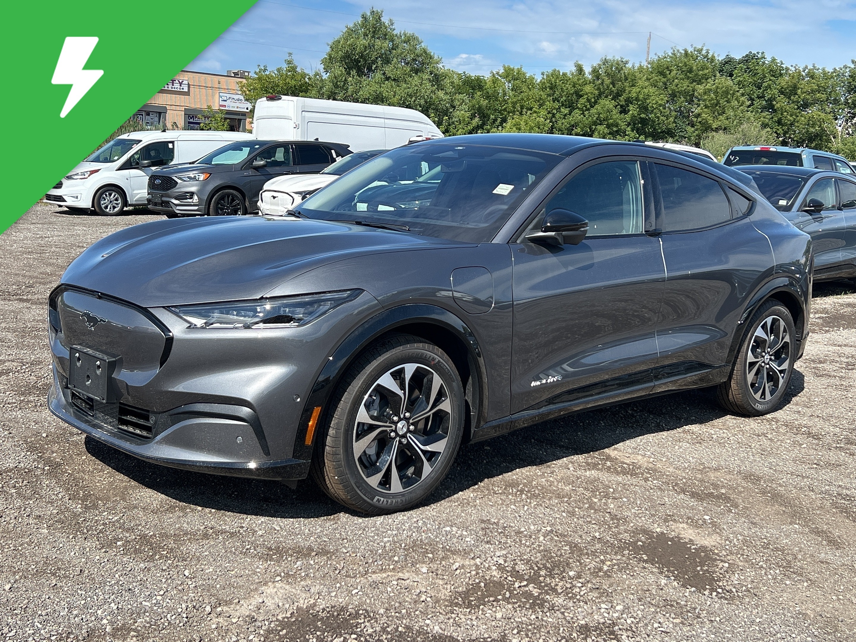 2023 Ford Mustang Mach-E Premium AWD 300A 70 KWH INTERIOR PROTECTION 19's