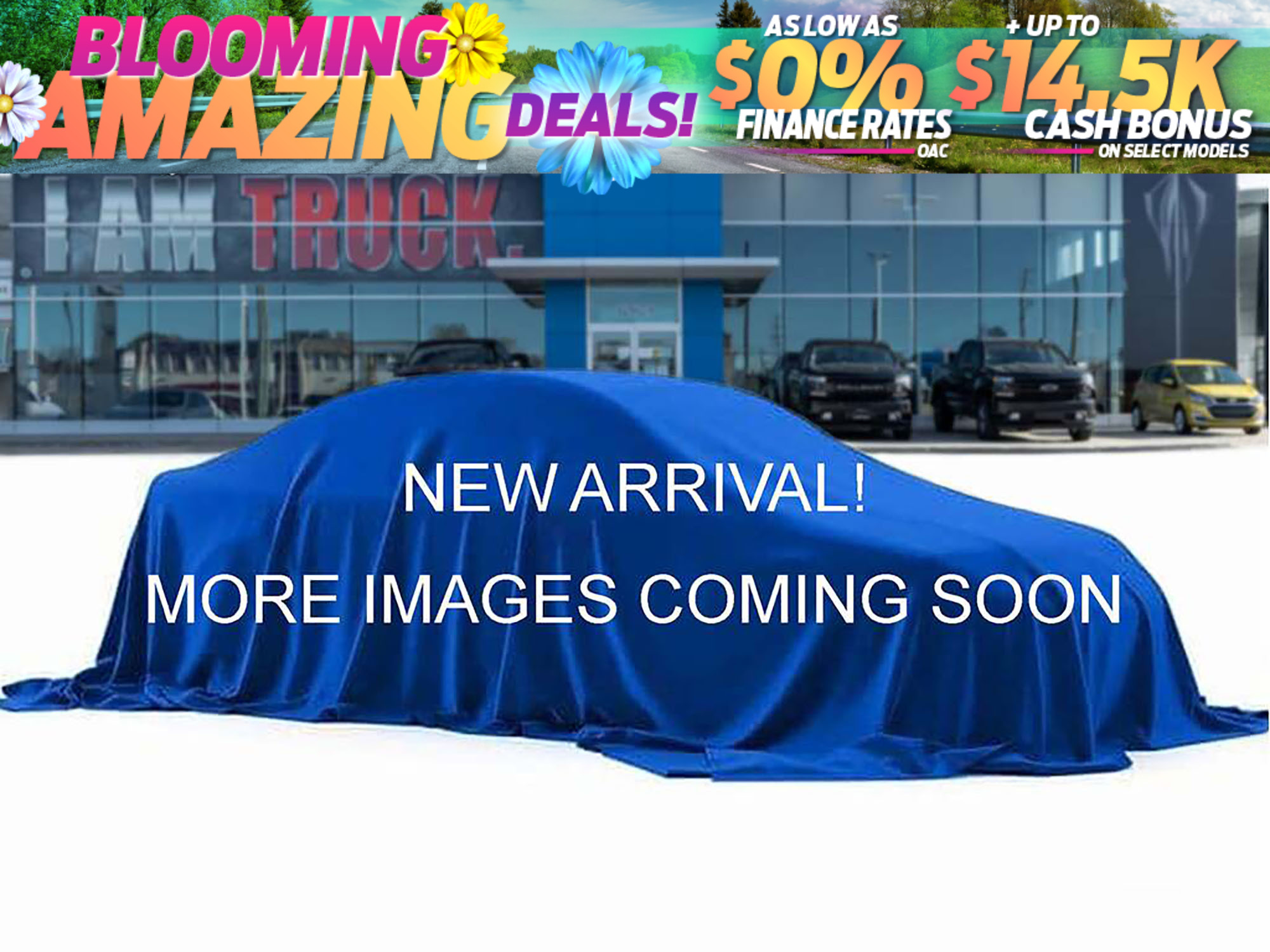 2024 Chevrolet Silverado 1500 Custom Trail Boss- 6-Way Tailgate | Tonneau Cover