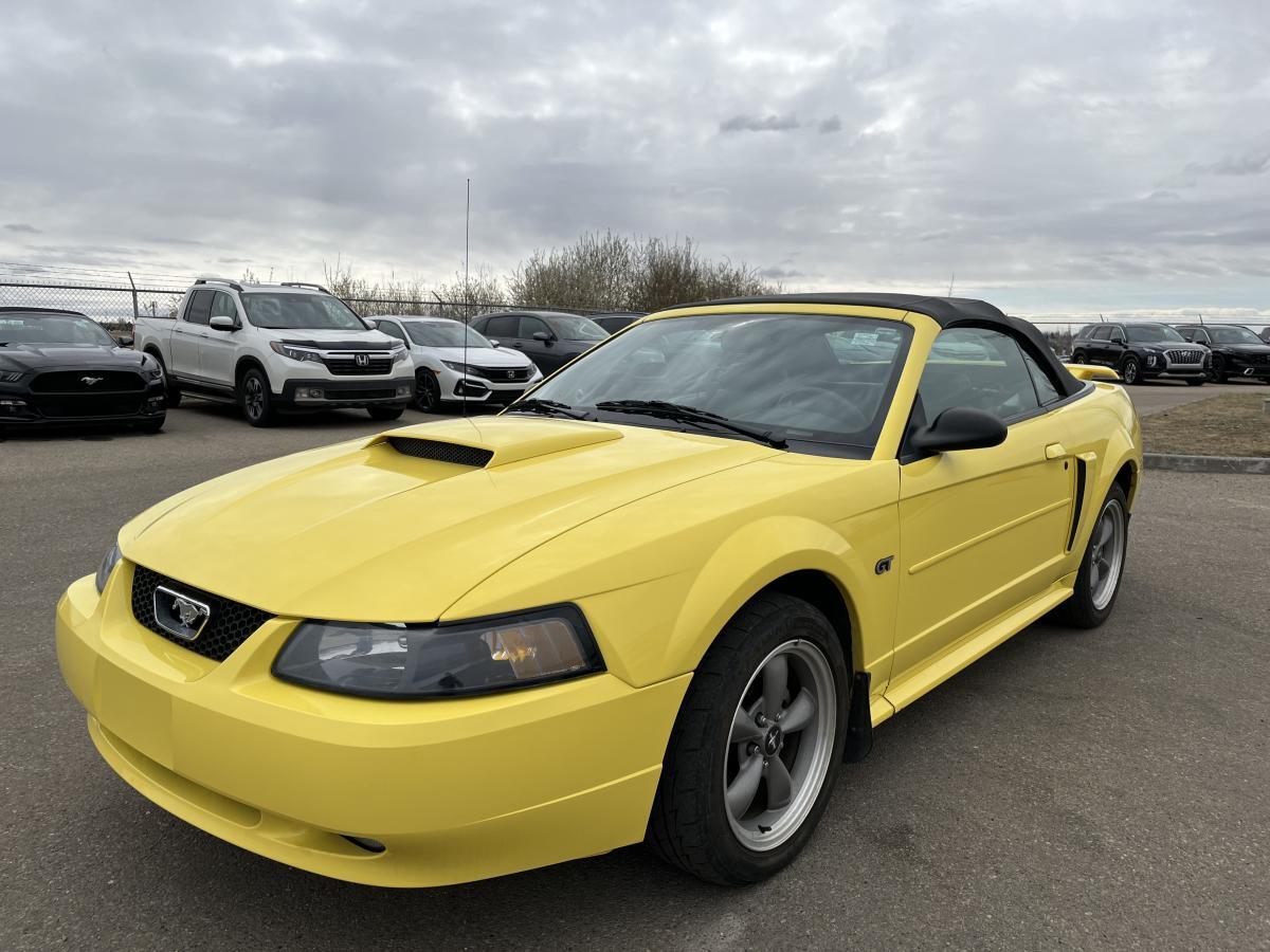 2001 Ford Mustang 2dr Convertible GT | LOW KMS | ACCIDENT FREE!!!