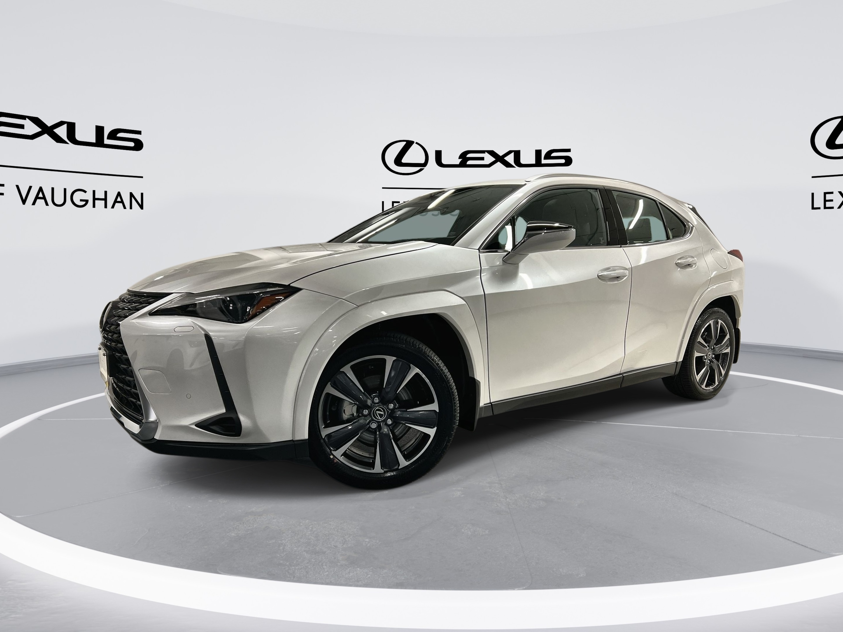 2025 Lexus UX 300H Luxury Package