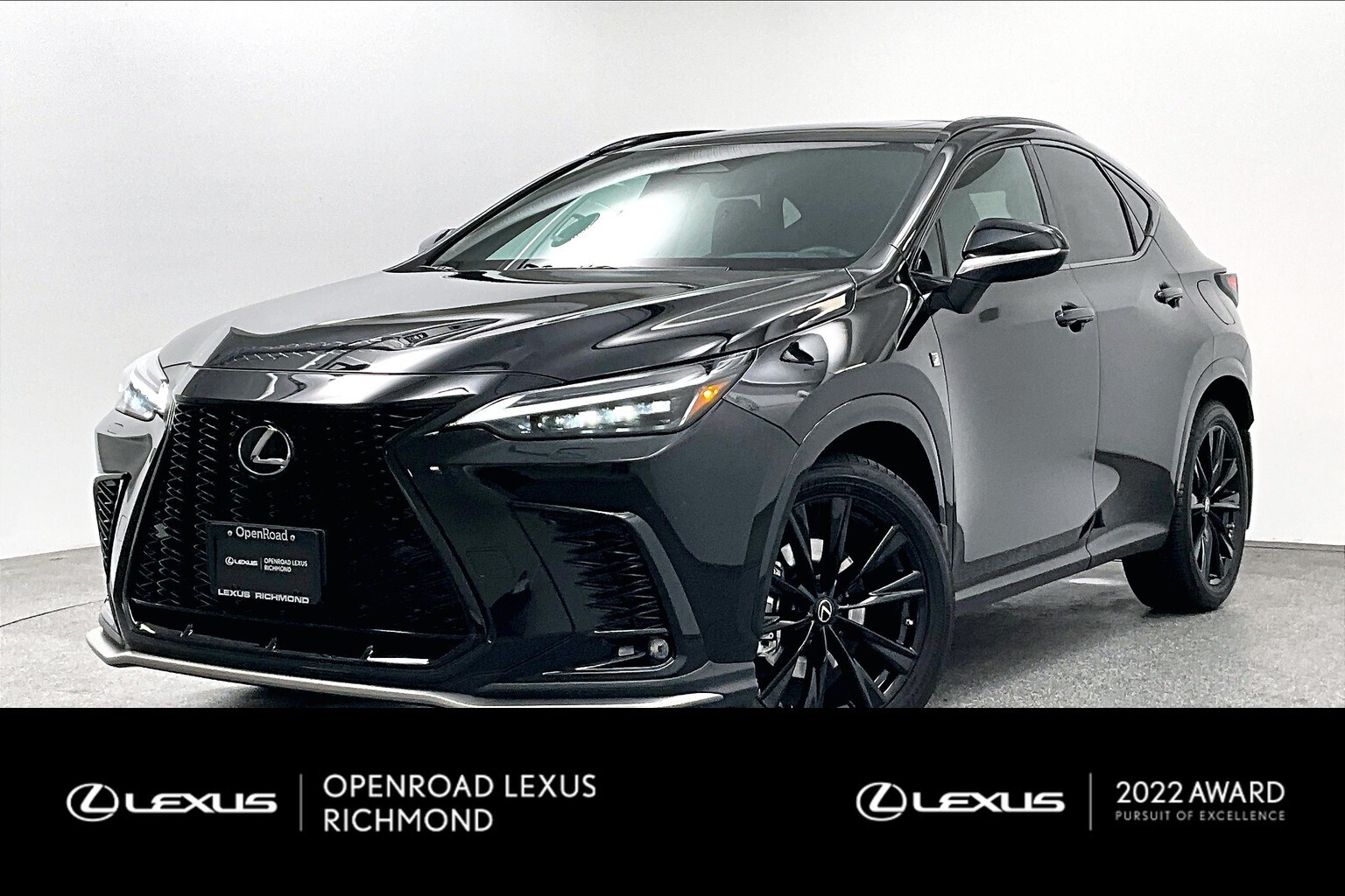 2022 Lexus NX | F SPORT 1 PACKAGE | NO ACCIDENTS |