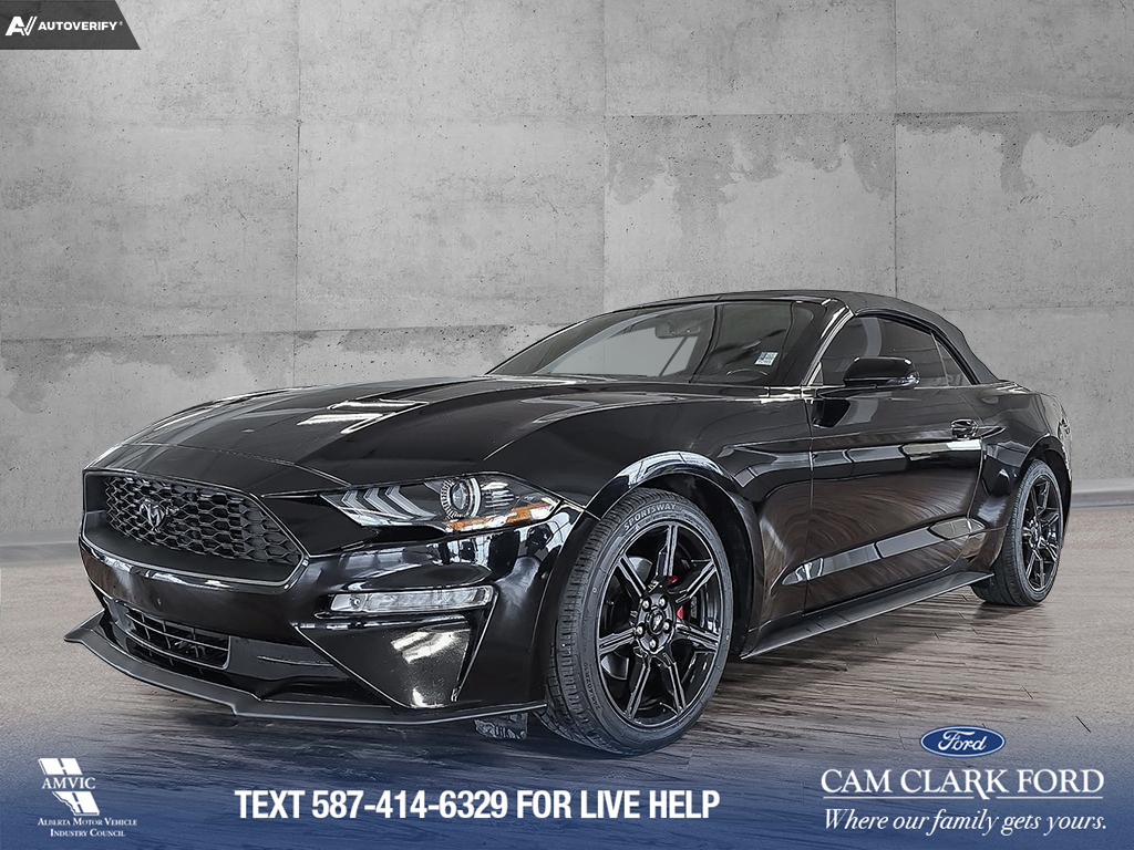2019 Ford Mustang EcoBoost Premium EXCELLENT CONDITION | CONVERITBLE