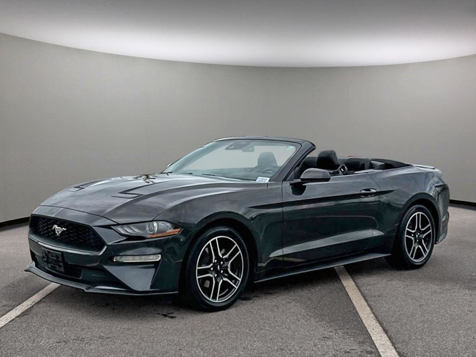 2022 Ford Mustang EcoBoost - NO FEES