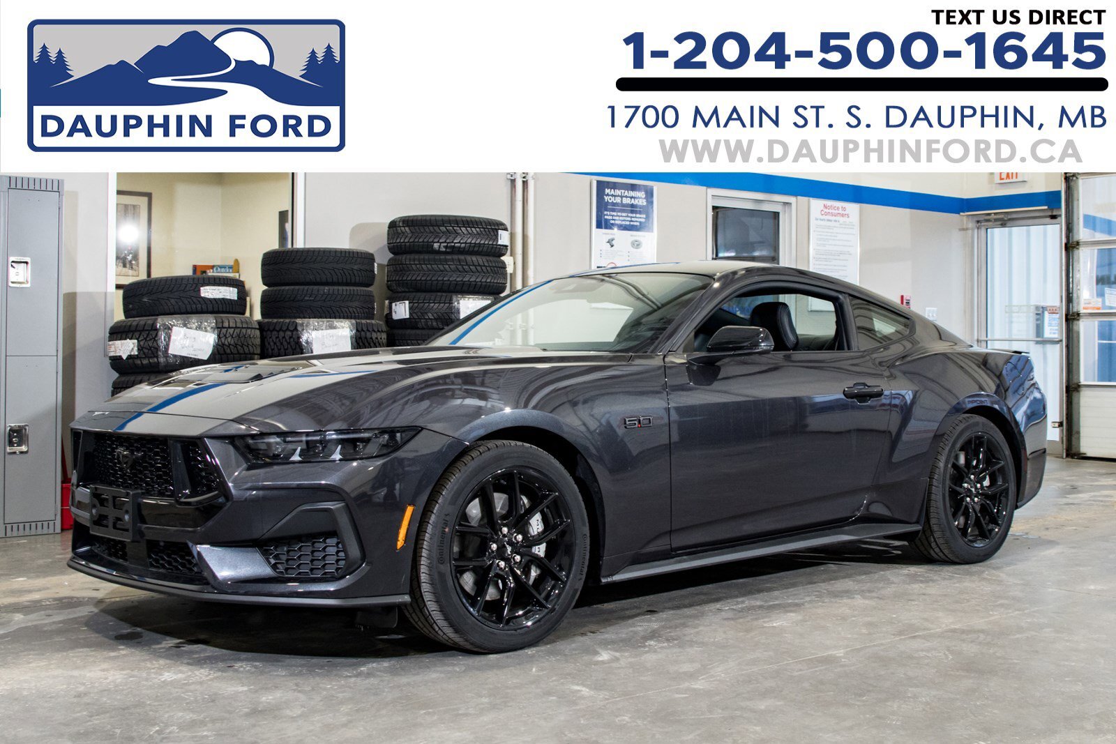 2024 Ford Mustang GT Premium Nite Pony Package/Manual/B&O Sound