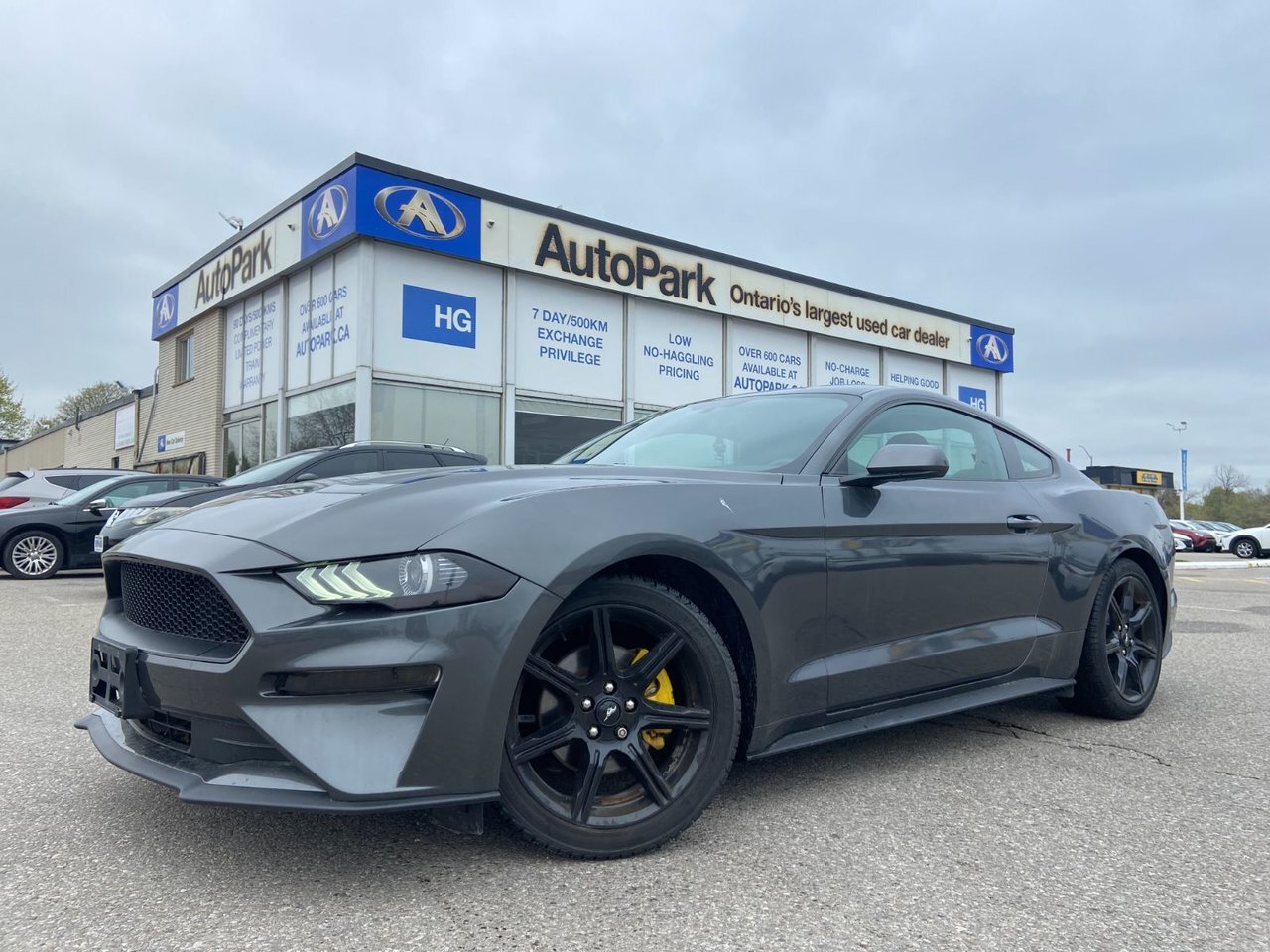 2020 Ford Mustang Ecoboost Fastback ! Coming Soon !