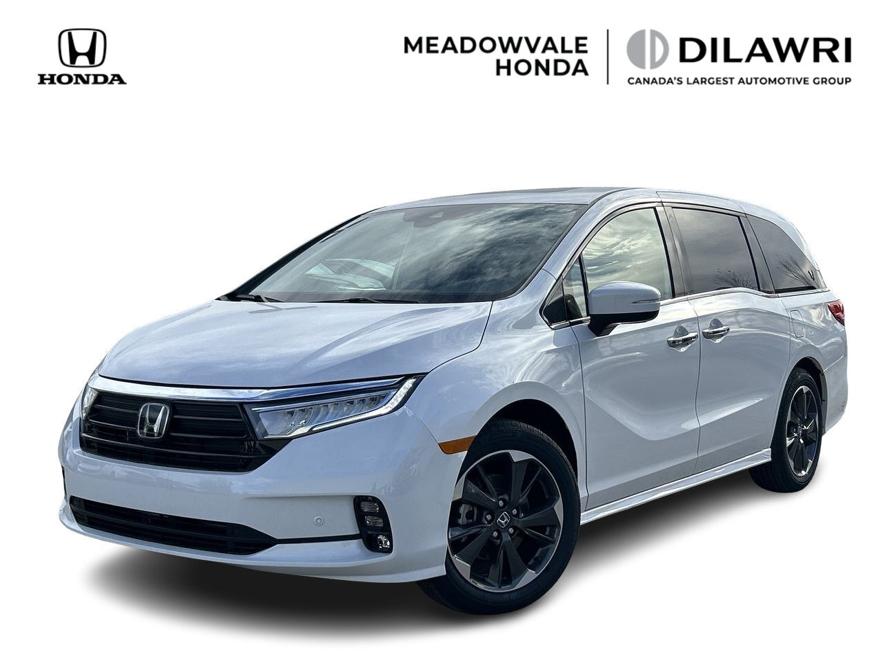 2024 Honda Odyssey TOURING Touring Auto | CarPlay | Forward collision