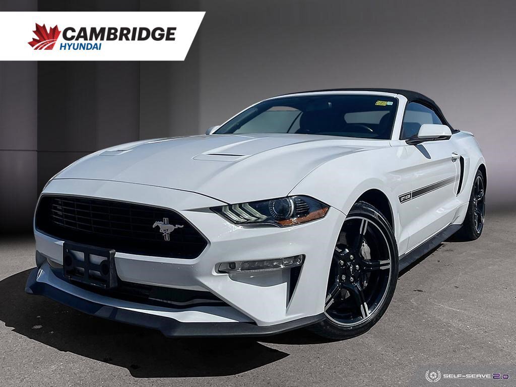 2019 Ford Mustang GT Premium | California Special | No Accidents |