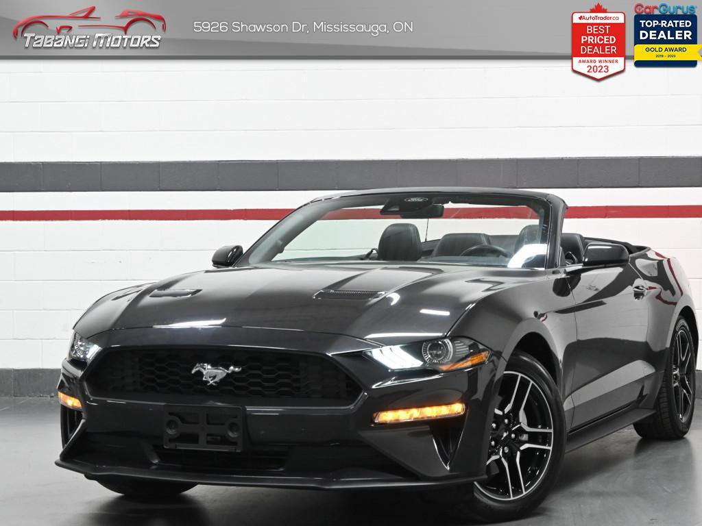 2022 Ford Mustang EcoBoost Premium  No Accident Leather Blindspot Re