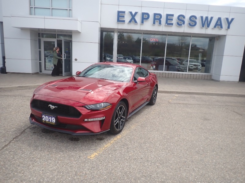 2019 Ford Mustang EcoBoost - 6speed Manual
