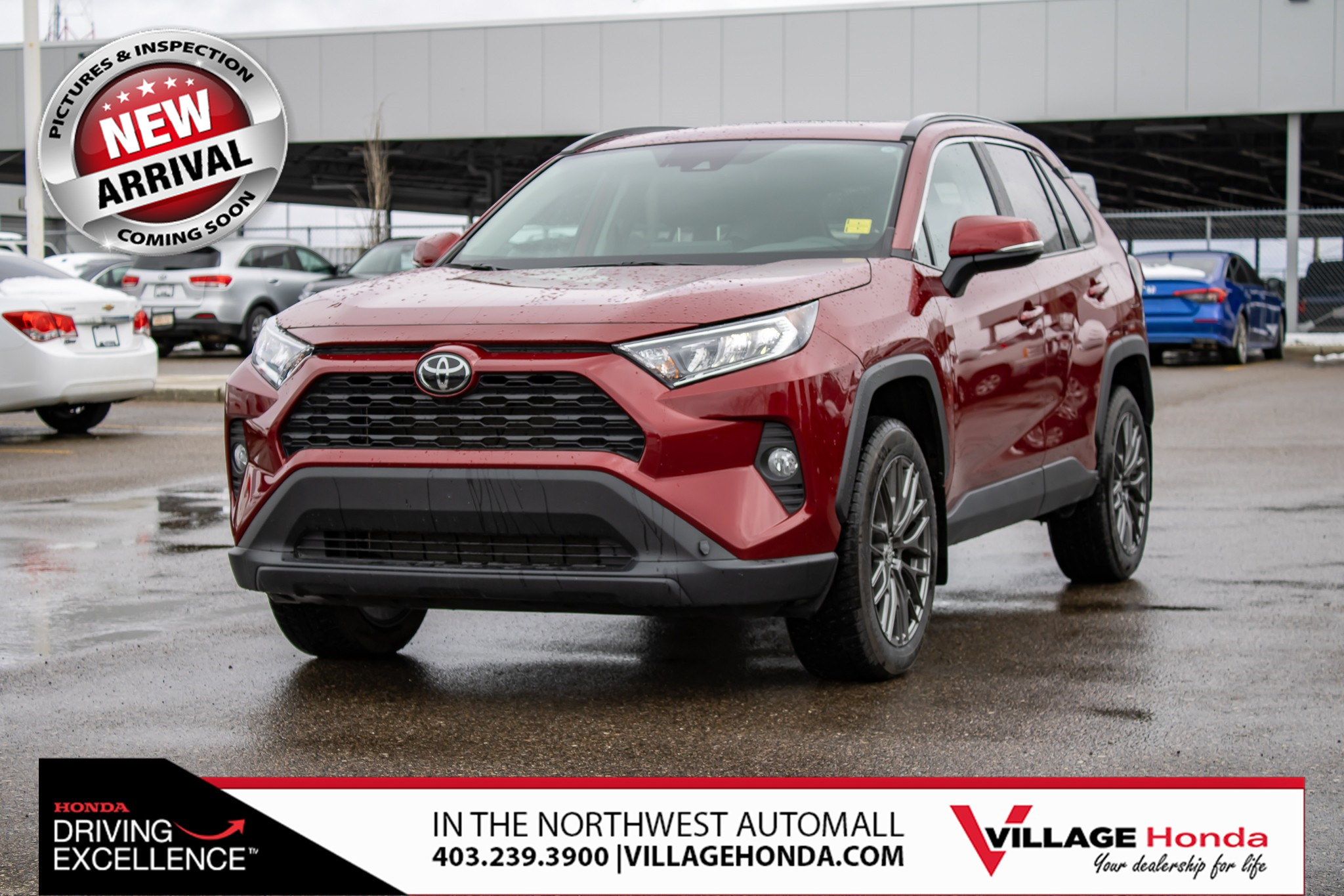 2020 Toyota RAV4 XLE NO ACCIDENTS! LOCAL! ONE OWNER! BLIND SPOT! SA