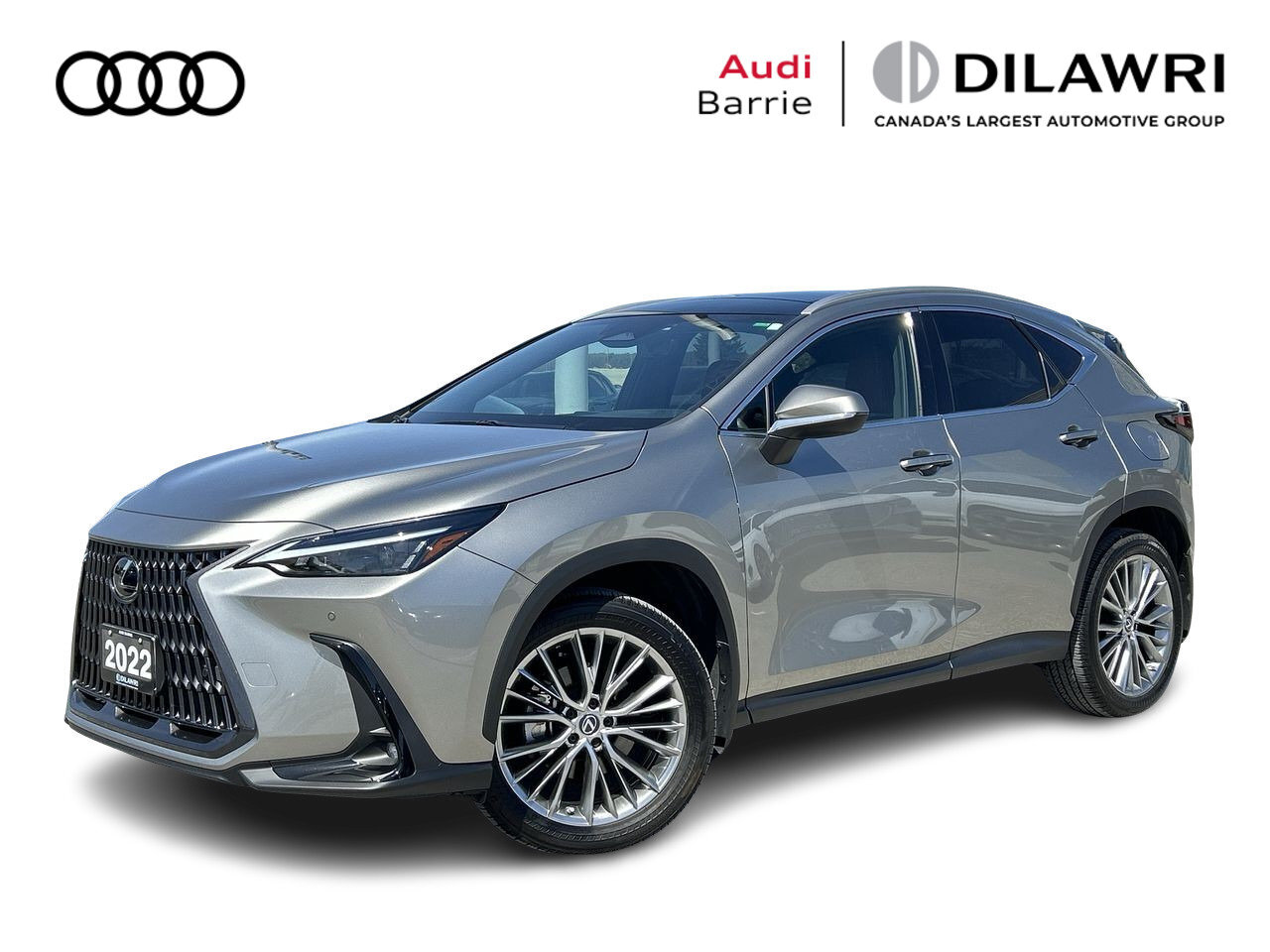 2022 Lexus NX 350 | One-Owner Accident-Free / 