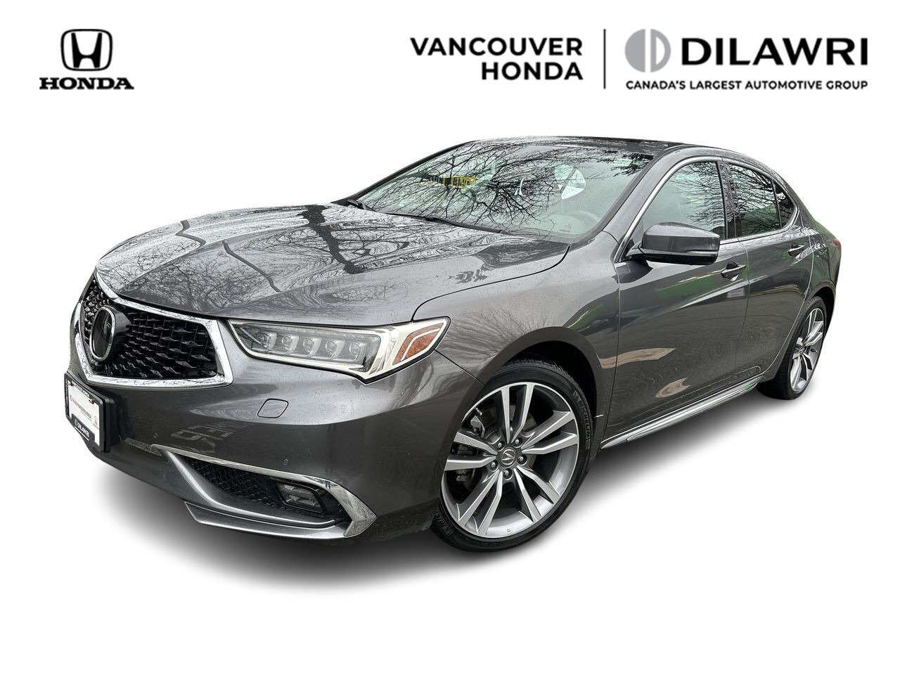 2019 Acura TLX Elite | Local | Low KMS | / 