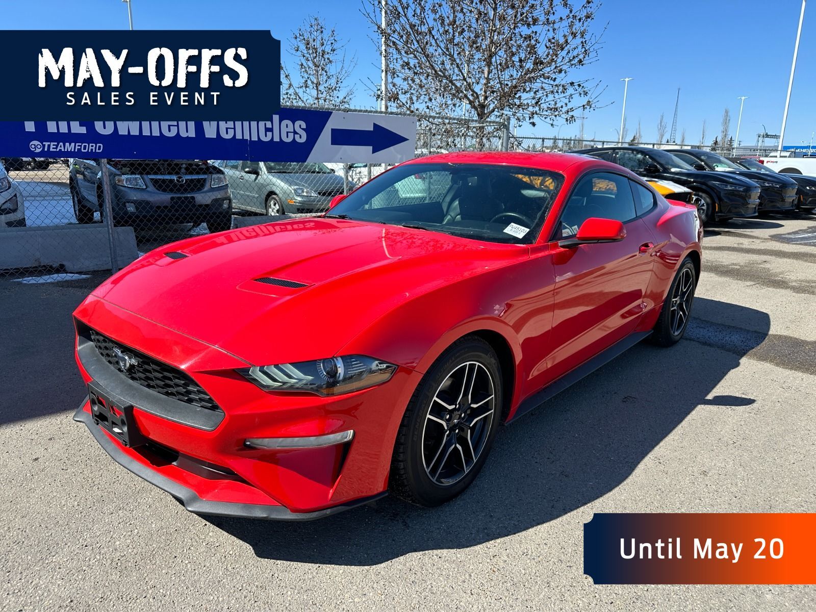 2019 Ford Mustang ECOBOOST - BACK UP CAM, LEATHER, 2.3L,SYNC VOICE A