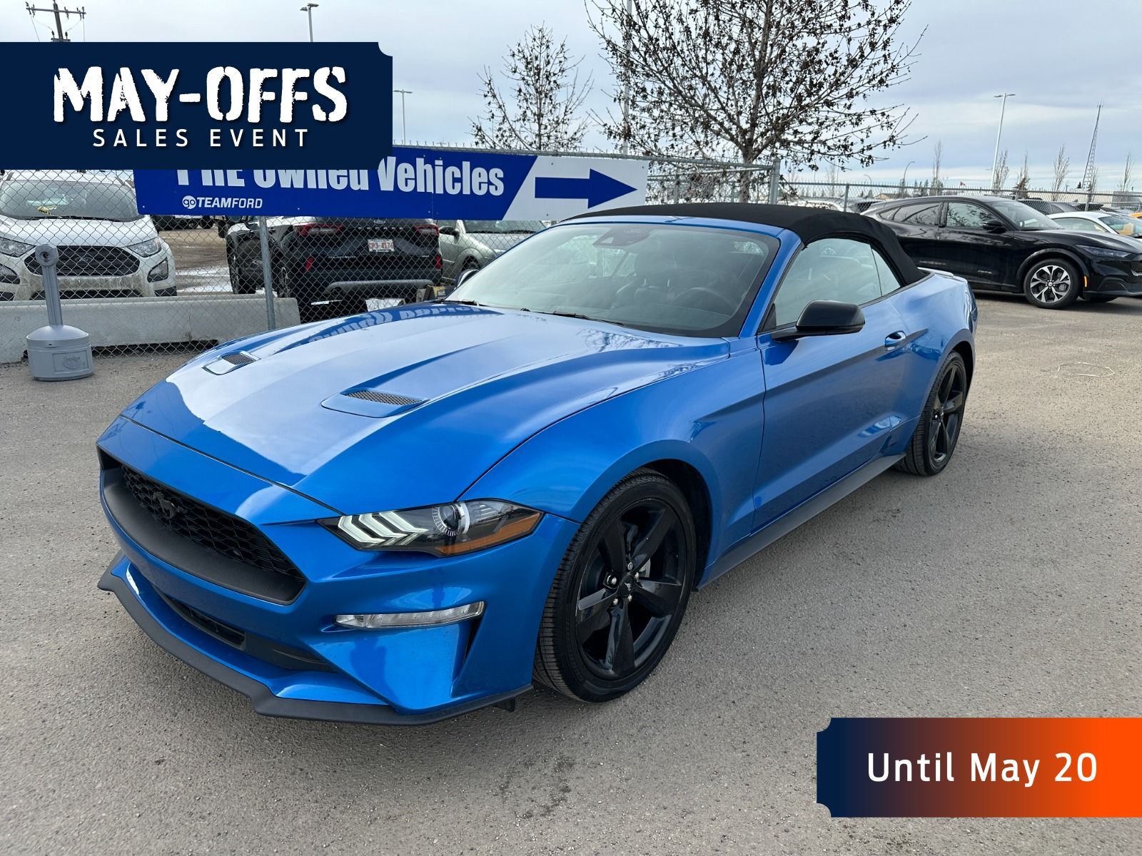 2021 Ford Mustang 2.3L ECOBOOST 310 HP, ECOBOOST PREMIUM, BLACK ACCE