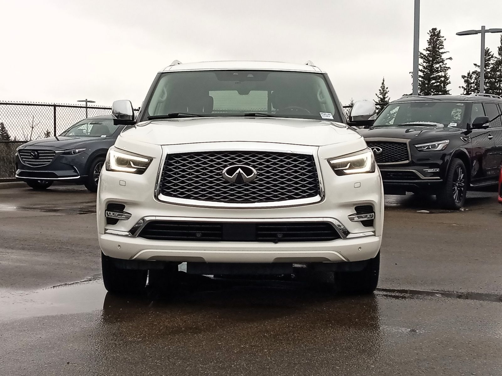 2019 Infiniti QX80 PROACTIVE, LEATHER, SUNROOF, DVD, CPO AVAIL