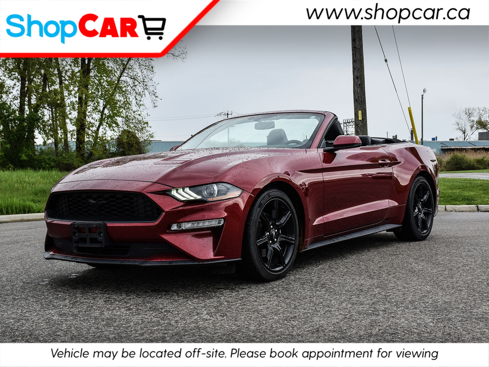 2019 Ford Mustang New Arrival | Just in time for Spring!!