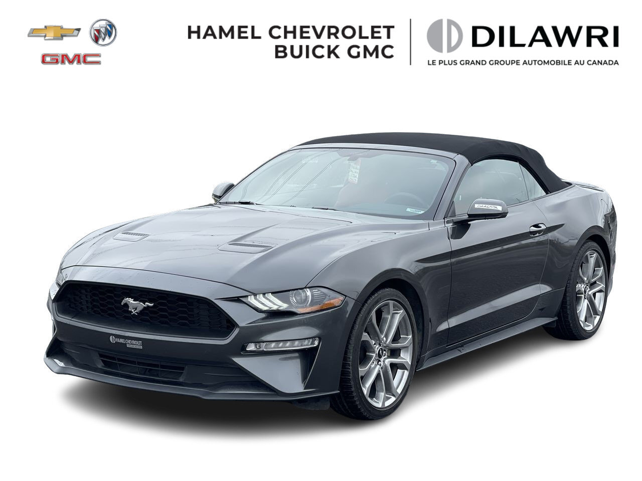 2019 Ford Mustang ECOBOOST DECAPOTABLE / 2.3L TURBO / CUIR / CAMERA/