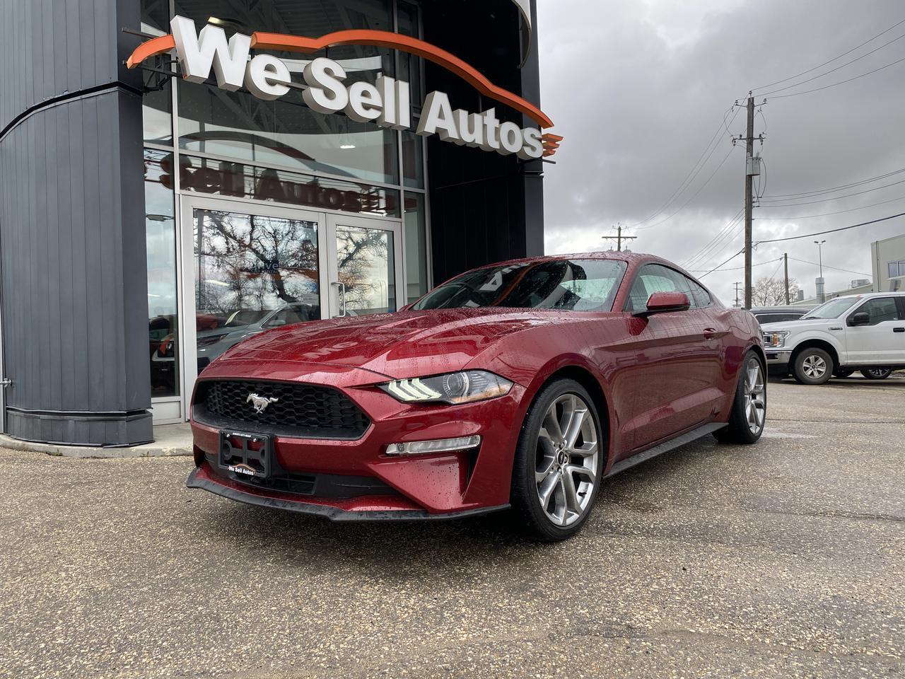 2019 Ford Mustang EcoBoost Premium w/Leather, Navigation & More!