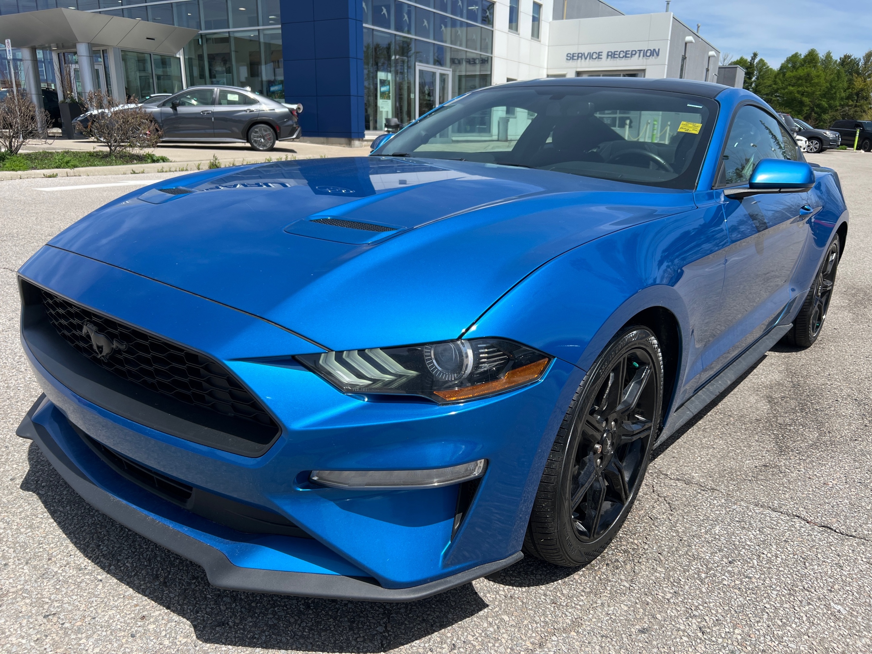 2020 Ford Mustang NO ACCIDENTS! ONE OWNER! ECOBOOST!