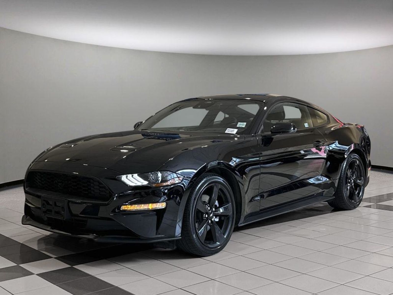 2022 Ford Mustang EcoBoost - ONE OWNER / LOCAL / NO FEES