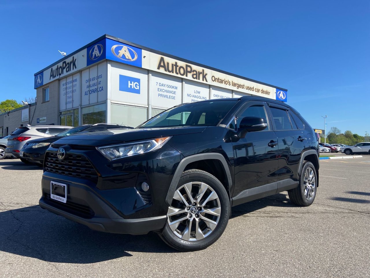 2019 Toyota RAV4 XLE | AWD | Sunroof | Leather Seats |