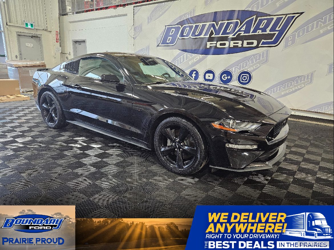 2023 Ford Mustang GT 5.0L 6-Speed Manual | Nite Pony Package
