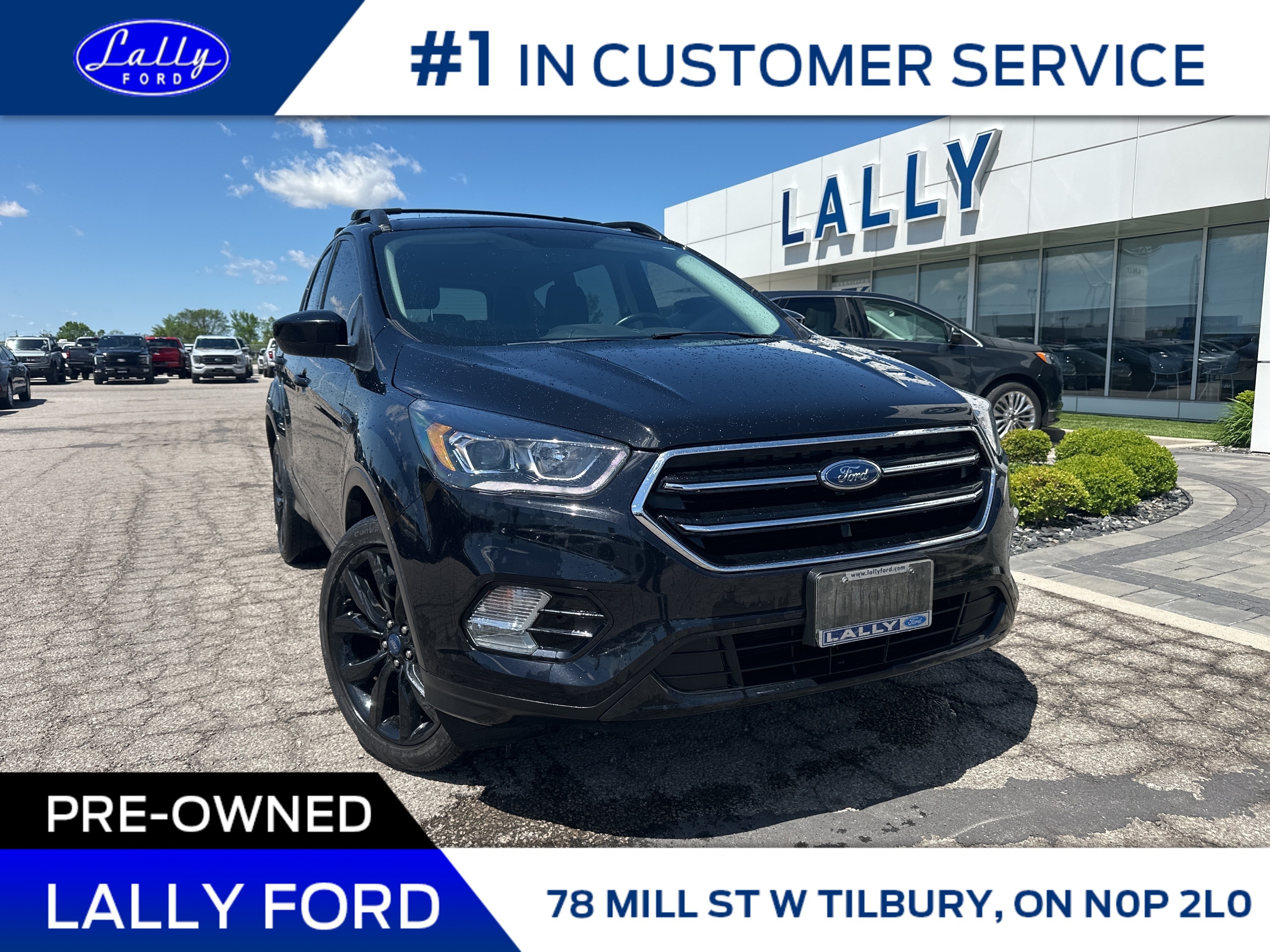 2019 Ford Escape SE, AWD, Nav, One Owner!!
