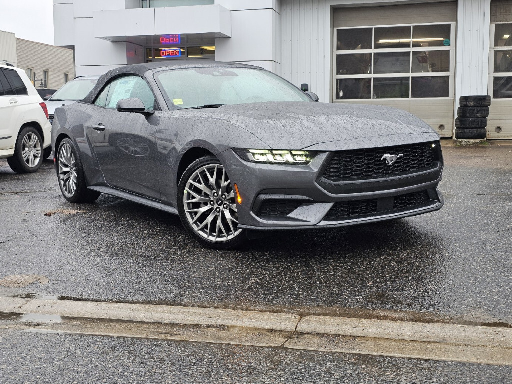 2024 Ford Mustang EcoBoost Premium  - Leather Seats