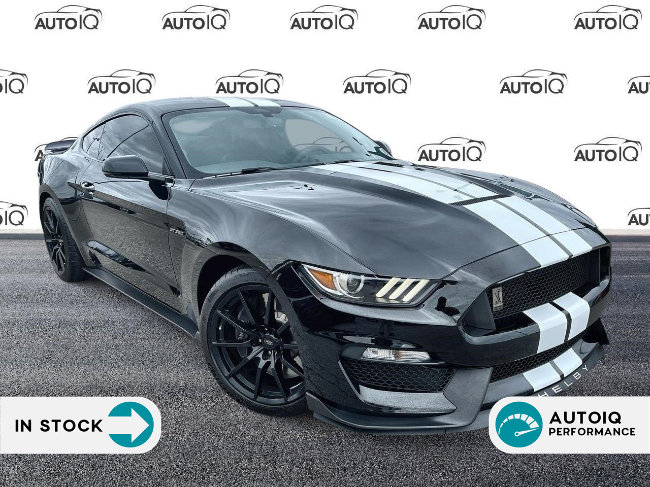 2016 Ford Mustang Shelby MUSTANG | 5.2L V8 | SYNC