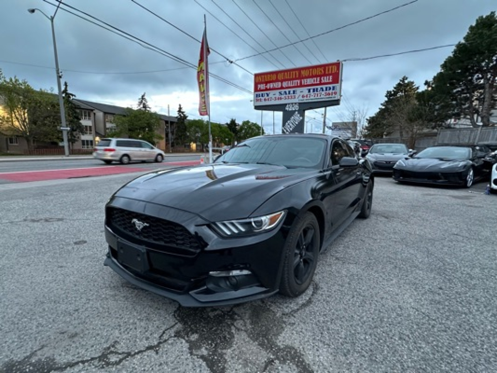 2016 Ford Mustang EcoBoost | Black on Black | Mint Condition